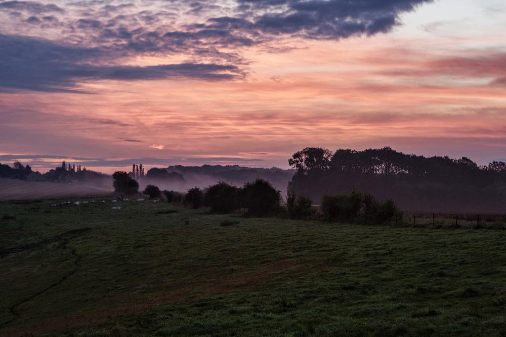 Vakantieboerderij Ferme Le Bleuet Ohey Buitenkant foto